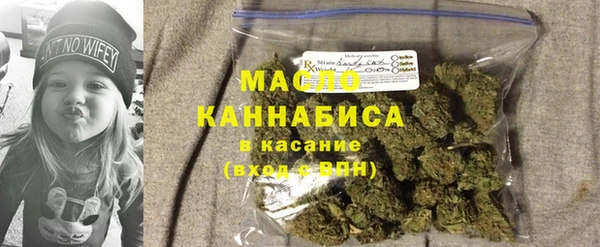 дмт Алексин