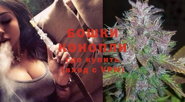 шишки Алзамай