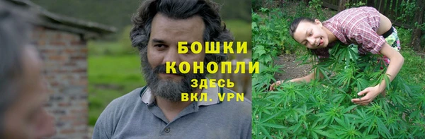 ALPHA PVP Алексеевка