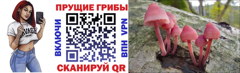 Галлюциногенные грибы Magic Shrooms  ссылка на мегу tor  Бикин 