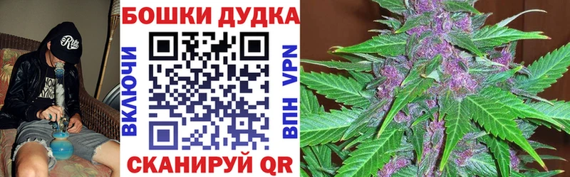 MEGA   мориарти клад  Шишки марихуана конопля  цена   Бикин 